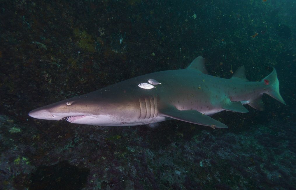 ba760ec0-698f-4bc9-9d6e-b36aa0d6a8bf