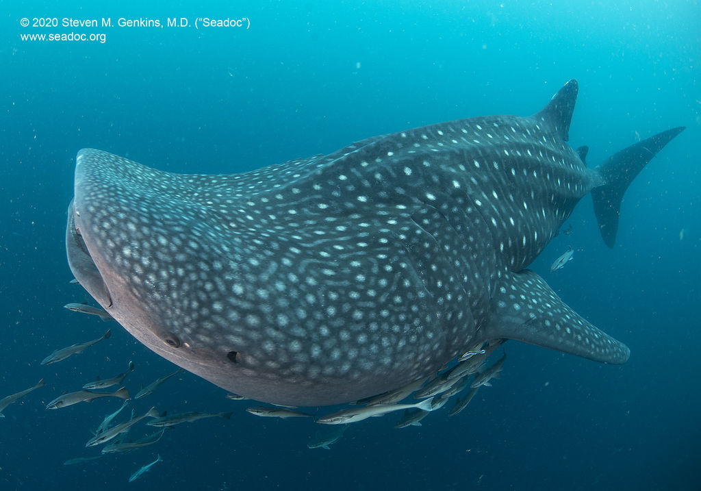 1efed366-7383-423e-b1fc-61dfacfc4554