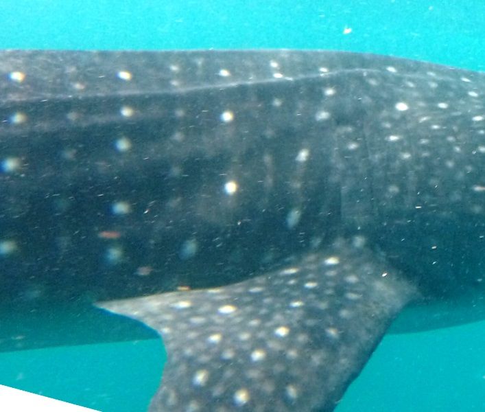 7128b96f-cc92-4f59-a6b4-47ed36b0f43f