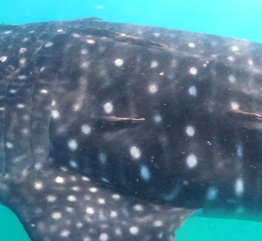 f7709649-0c84-4b6b-b6c2-af7d6b5ecf92