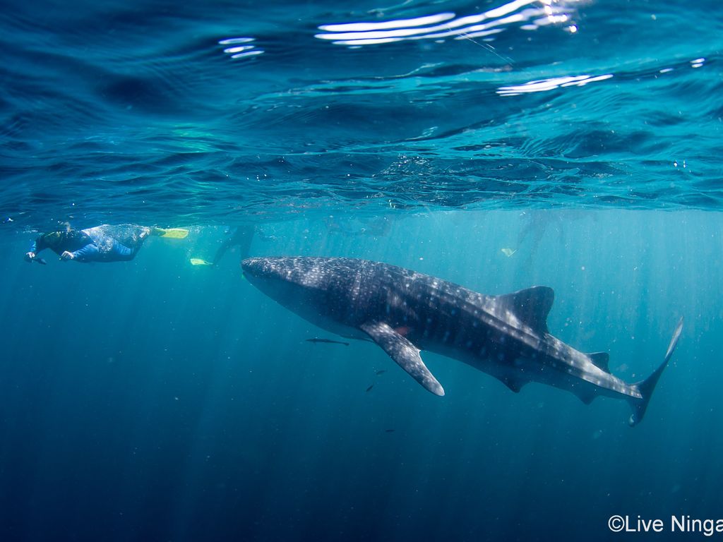 4a3654bf-48d5-409a-bda8-ee710640ce7a