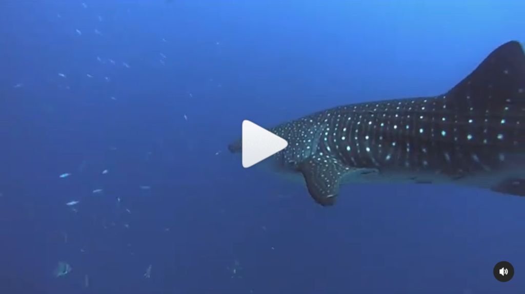 ebb43ae4-21dc-43a7-ab89-6c27c4d10a4e