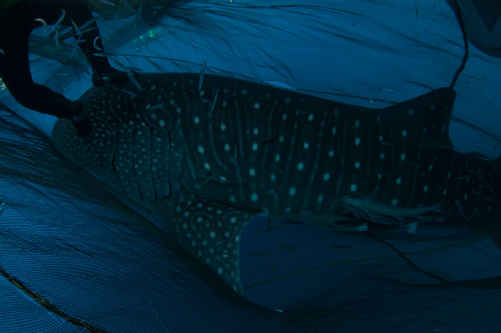 aaff848d-a229-4979-a4fc-dd1e424a5bdb