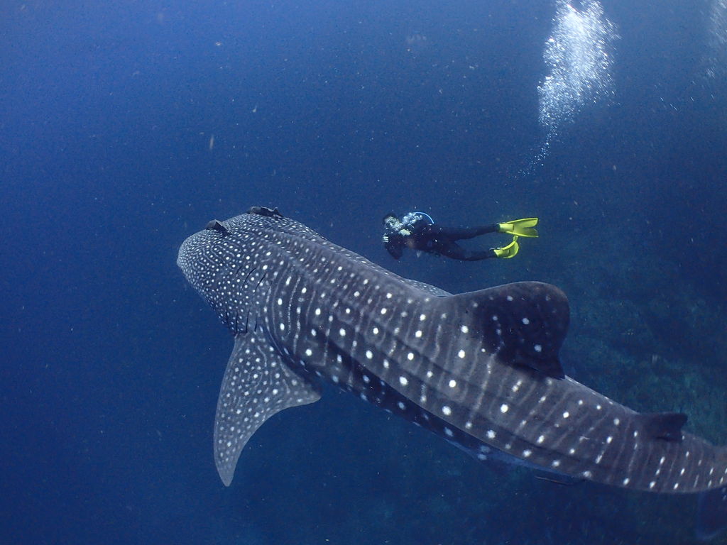 88bd96c0-b56b-41df-801c-dd872e1a447b