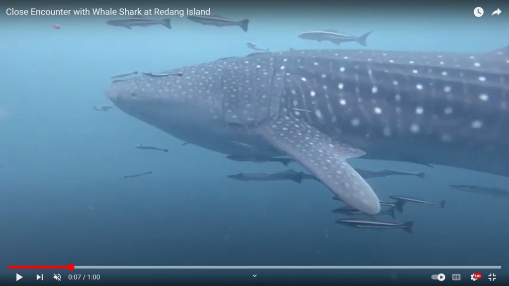 d9f175b9-ee8d-4e9b-b098-c7d7823576a0