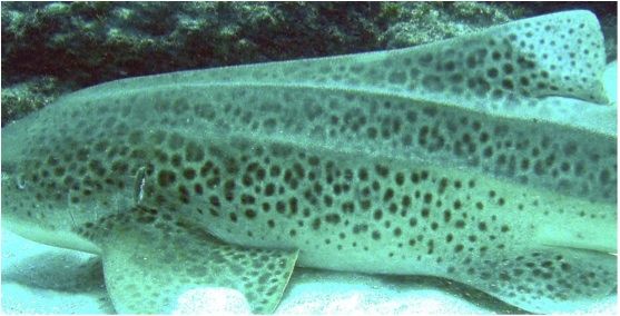 40cbee2a-a4ed-4fa5-aaf4-2375cf2b2c04