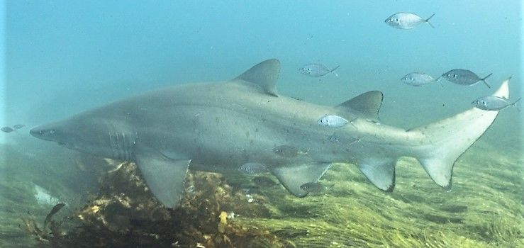 e800577e-97f8-4659-a888-3db60d2b5419