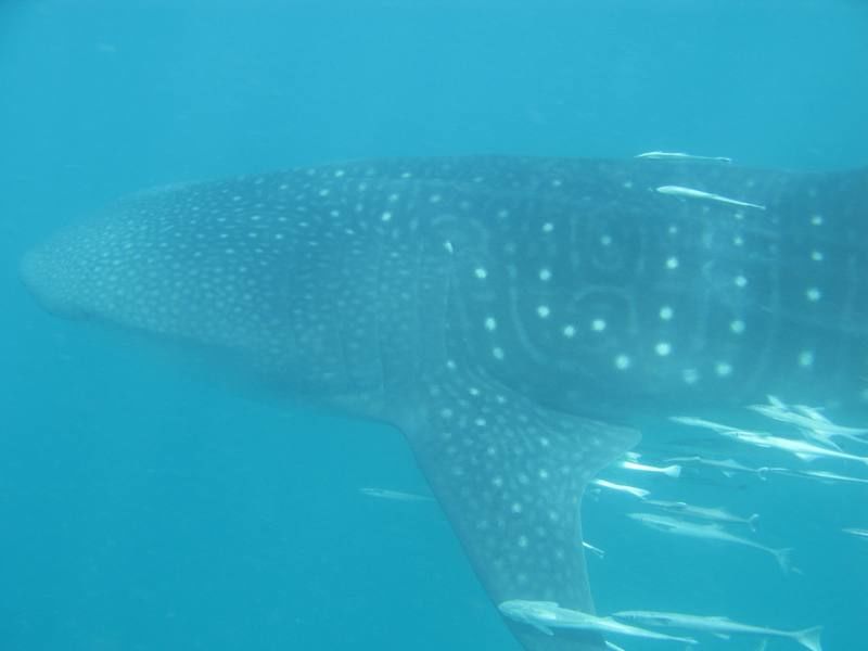 6020927e-ab43-4f39-87c4-d15f9e4b2f8f