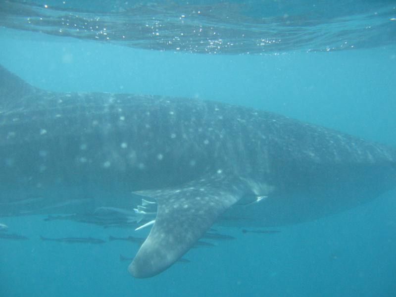 6020927e-ab43-4f39-87c4-d15f9e4b2f8f