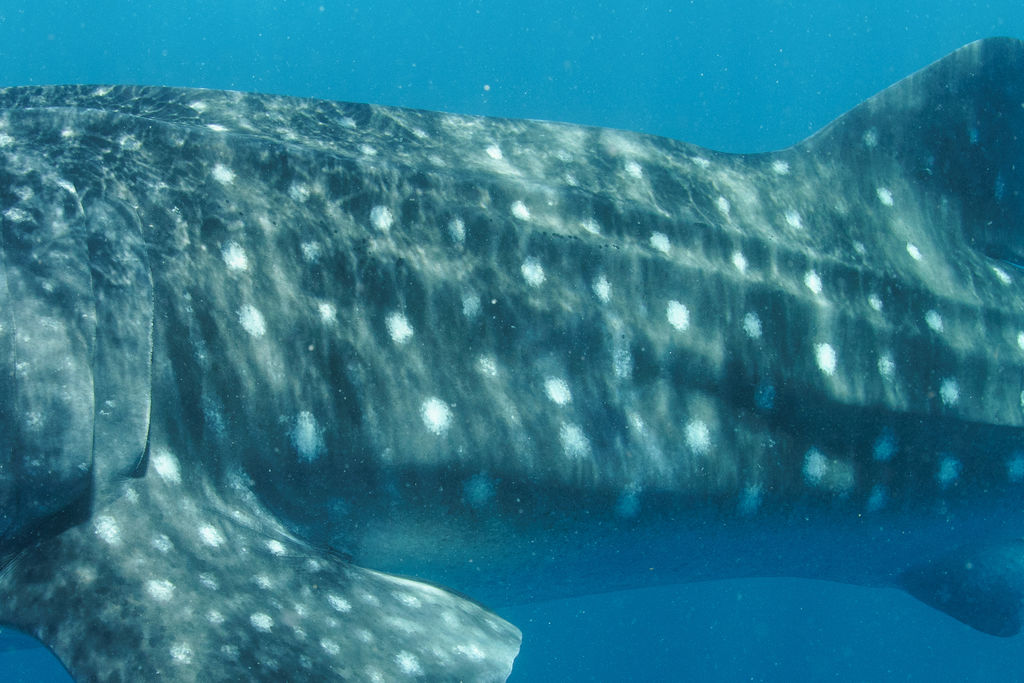 c8407b31-7a1f-4876-876c-88d11a1e82c9