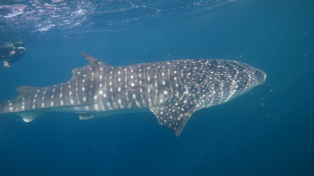 66fb71ef-daff-4415-9223-db6d5c2a844d