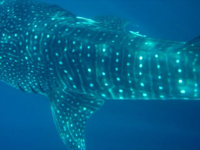 f54a94f0-a84e-4dfc-af32-ea450a83810b