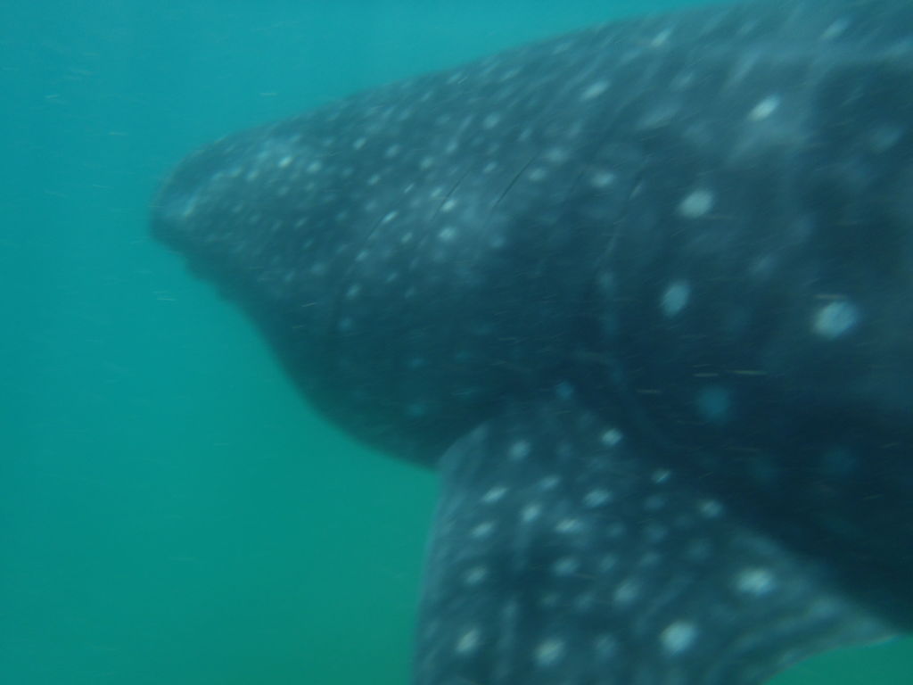 ab3b5b14-d3e5-45be-b9ac-d25449d99d5b