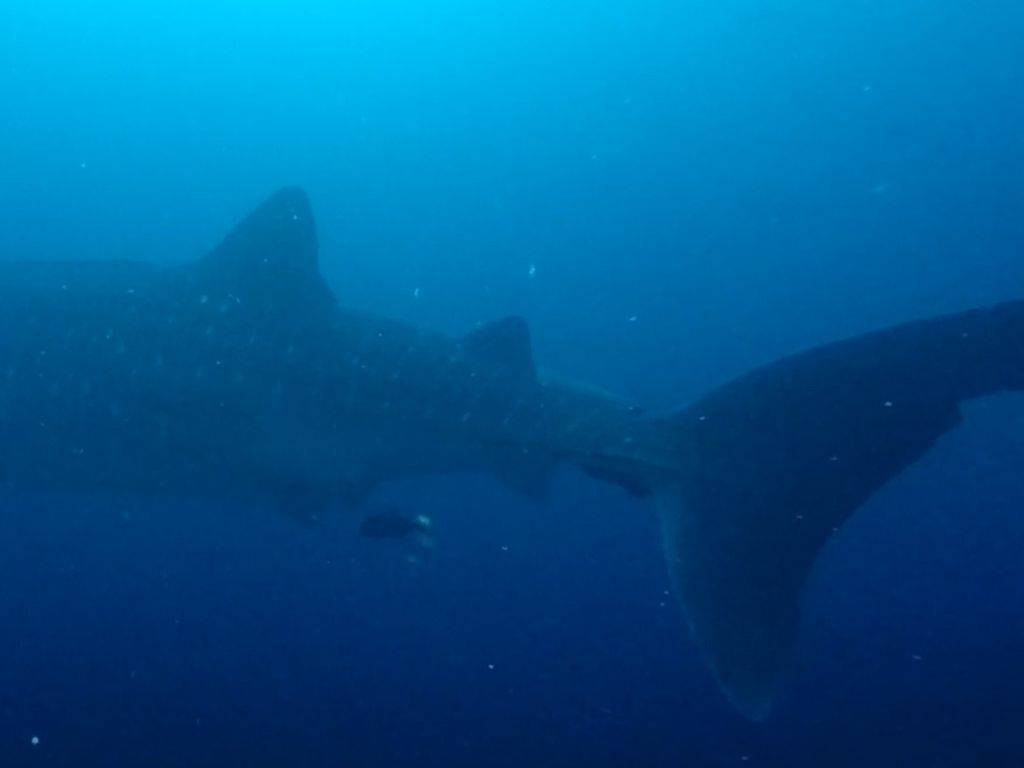 be9c4675-572c-4871-a496-1af7f426fe00