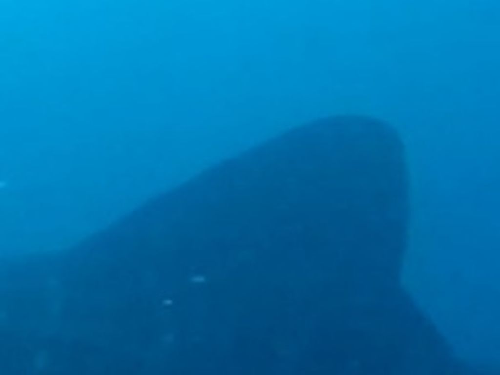 be9c4675-572c-4871-a496-1af7f426fe00