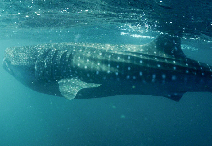 6bdbcf3a-25d5-4b9d-bac8-5aa0dffb7c6a