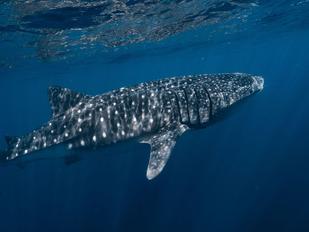 f811686f-7416-441f-874e-b85c7c7b5fc8