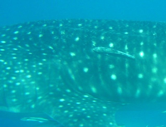 b9a20c7d-4aba-42ee-aca3-df640a9ff8cd