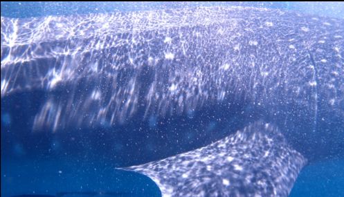 332e5f95-2240-42ff-8022-d7f0362291f8