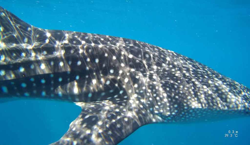 1c835d32-91a9-4af3-adc4-8ad890c2712f