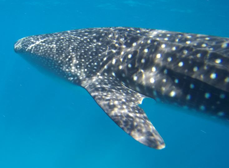 1c835d32-91a9-4af3-adc4-8ad890c2712f