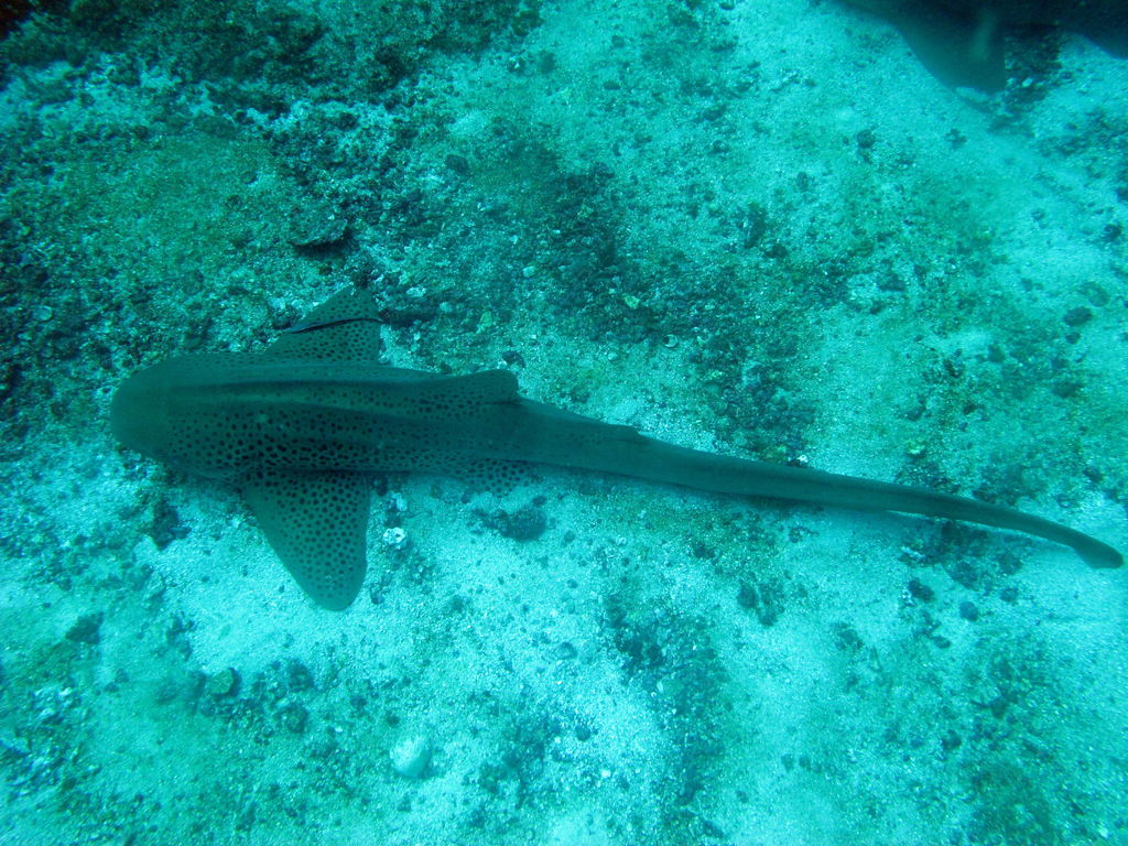 2b4ba6d7-7cbf-400c-9fc4-a149233aff40