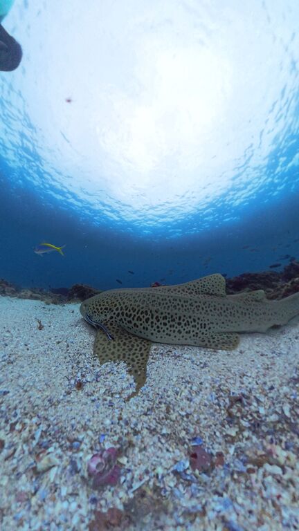 e83d8927-5f38-4244-9db9-b236159b10fa