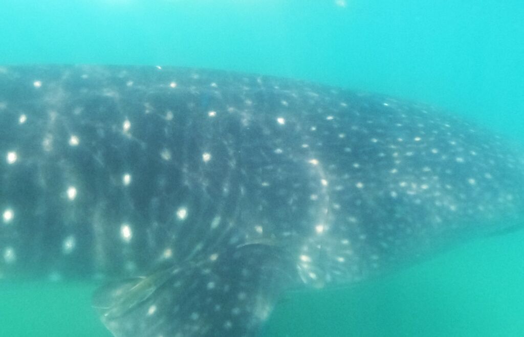 5b01e0c4-8fbe-4bcf-a6f8-c316c32782b4