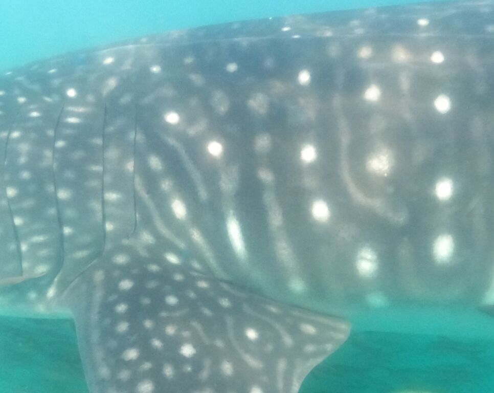 5b01e0c4-8fbe-4bcf-a6f8-c316c32782b4