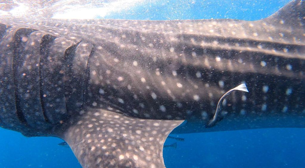 599efdaa-09df-47e0-b62b-8aa9de8070c9