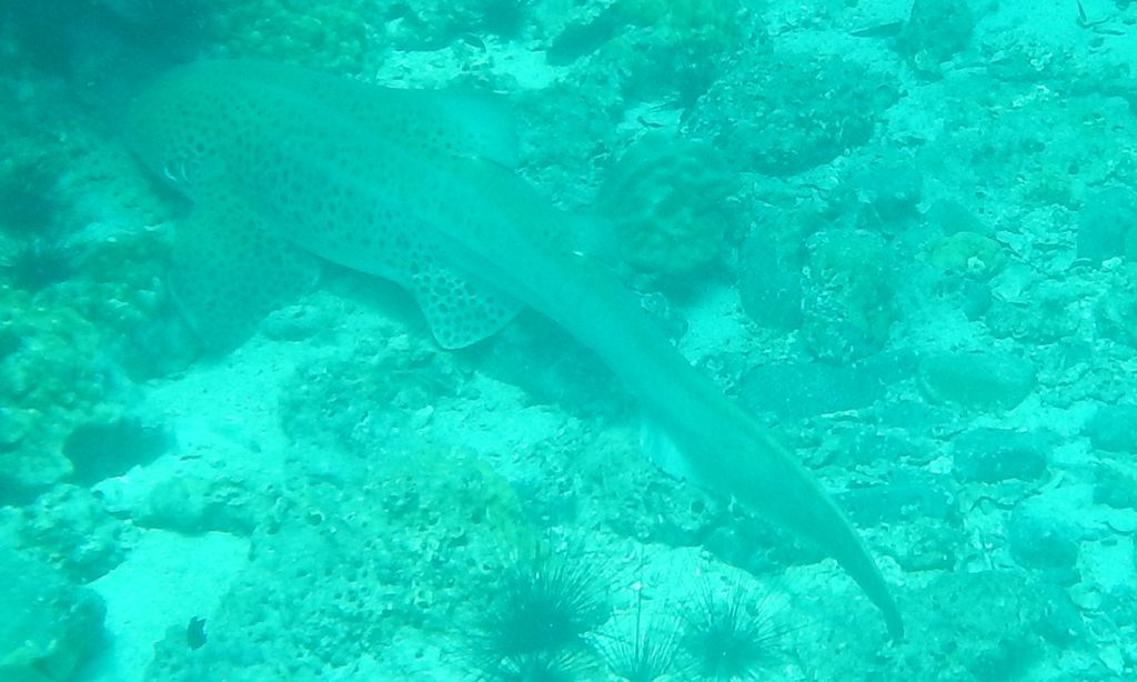 dbfdf809-256c-46f5-b79e-5b46e59baf15