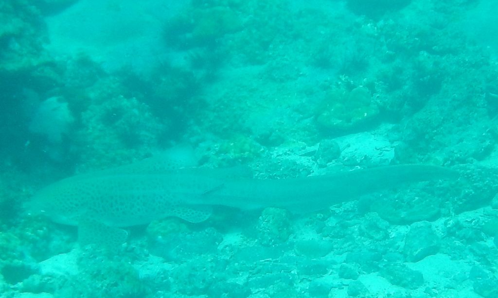 dbfdf809-256c-46f5-b79e-5b46e59baf15