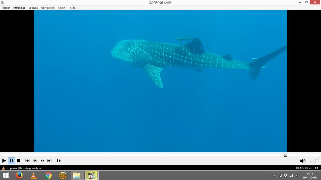 2bb0b517-9ed2-453d-8f5b-d07fdea91f96