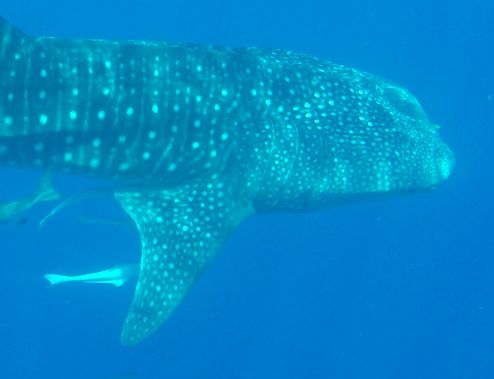 2bb0b517-9ed2-453d-8f5b-d07fdea91f96