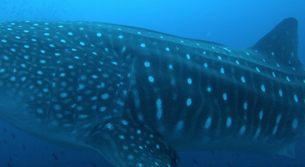 7c6cdbb1-9520-4c12-9cc5-8b7435a25721