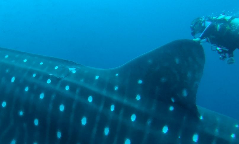 7c6cdbb1-9520-4c12-9cc5-8b7435a25721