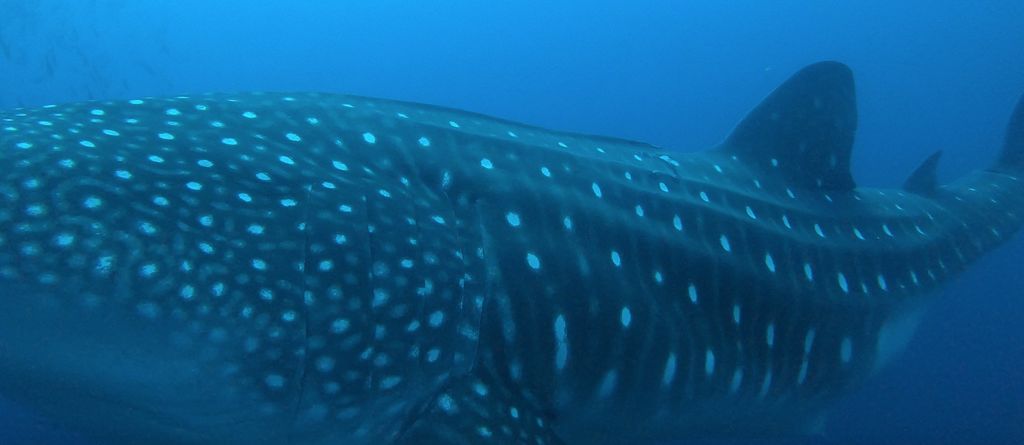 7c6cdbb1-9520-4c12-9cc5-8b7435a25721