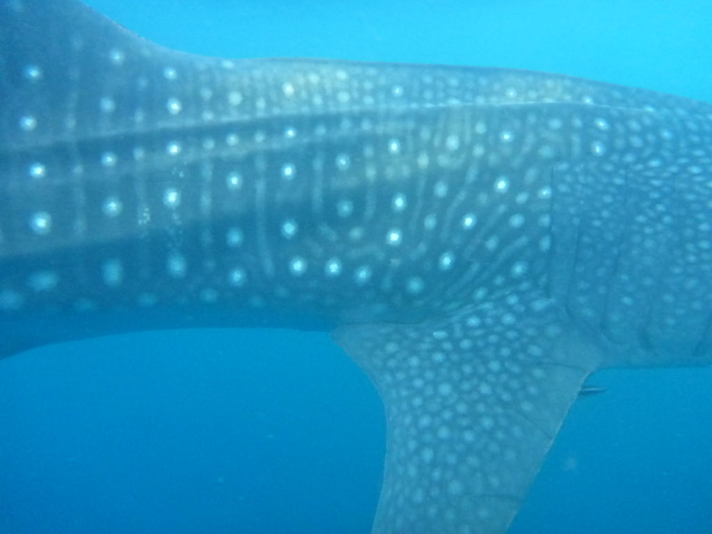 c9263105-70fe-41da-b439-9be9d06d22c5