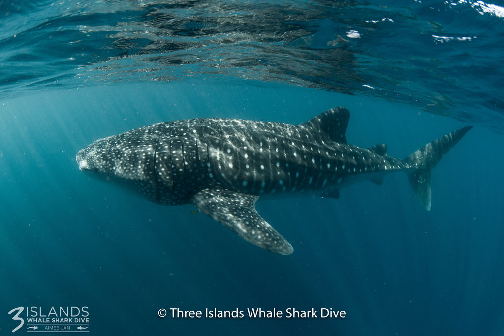 4e4b4978-7460-46eb-b4ec-d1bb3680706c