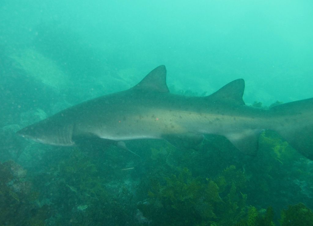 413eb5e5-0cef-4abd-93c8-40e4ae08c6ae