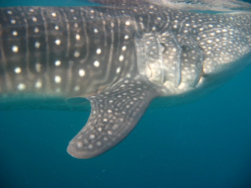 ae567d3b-7c7a-4195-9d61-f9f28b74a668