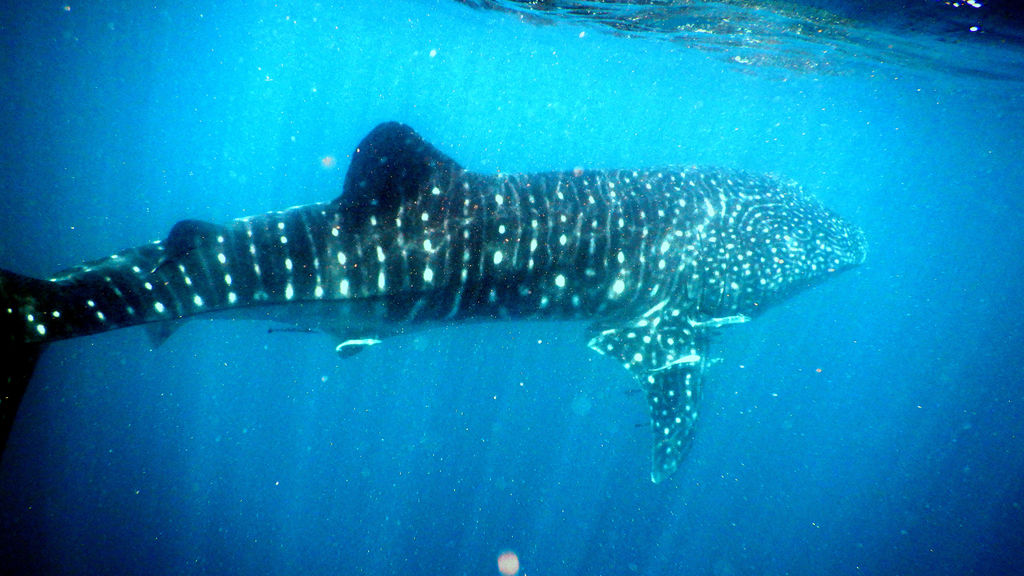 b389ccc2-e3e3-44a8-9175-783358bf7c19