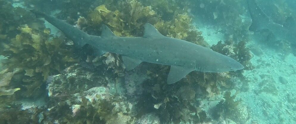 c7db21a1-9038-429c-9bd2-ee39ea572c4a