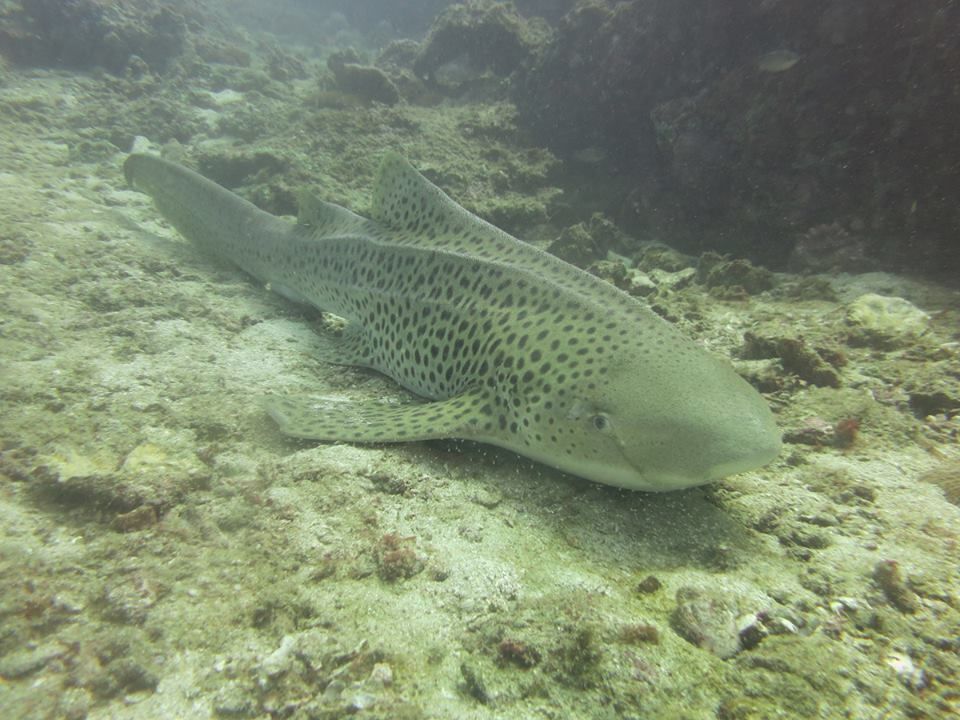 0e986ae3-2ee3-4636-93a6-4aa15d0eac54