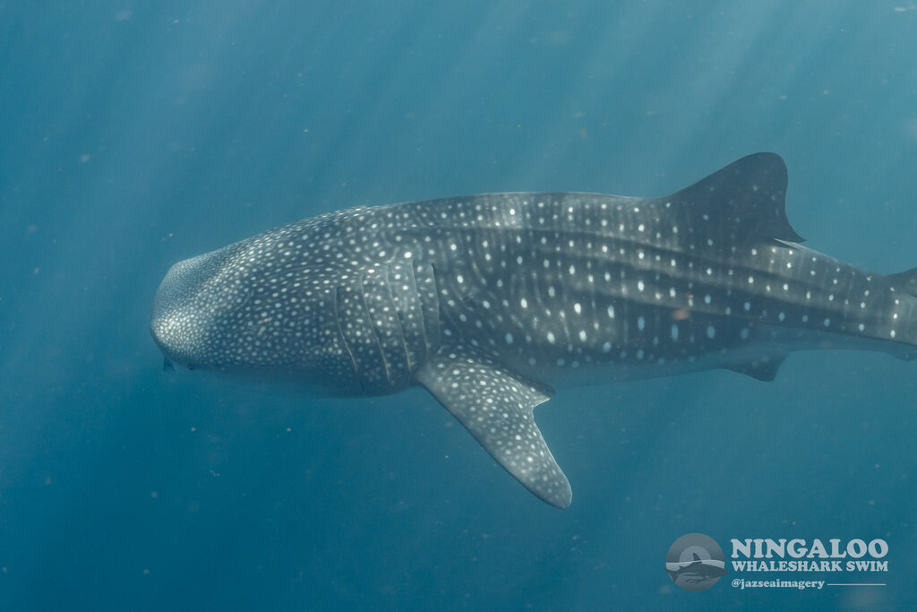 73ac806a-b565-4950-a1d5-24c5e2b0d9c4