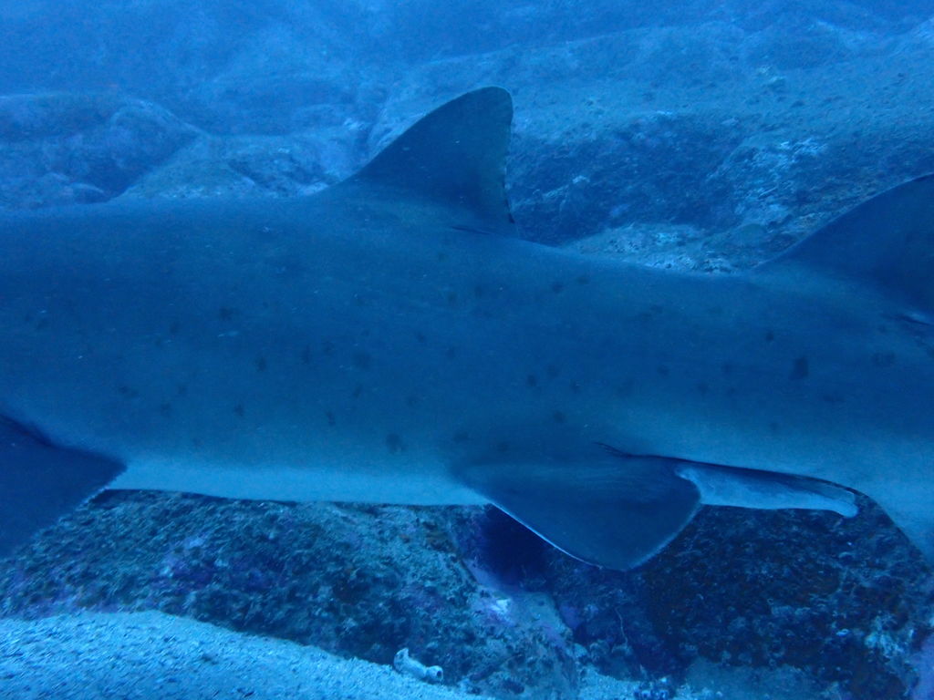 7940193c-518d-437d-962f-a7996138cbed