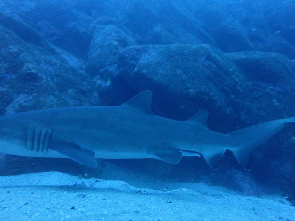 7940193c-518d-437d-962f-a7996138cbed