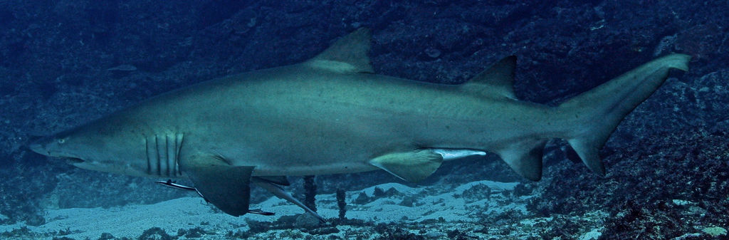 170526dd-8038-4bd6-876c-ea42a45aba53