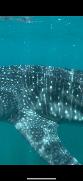 d54e6670-4c48-456d-addf-92ab64a4b8e7