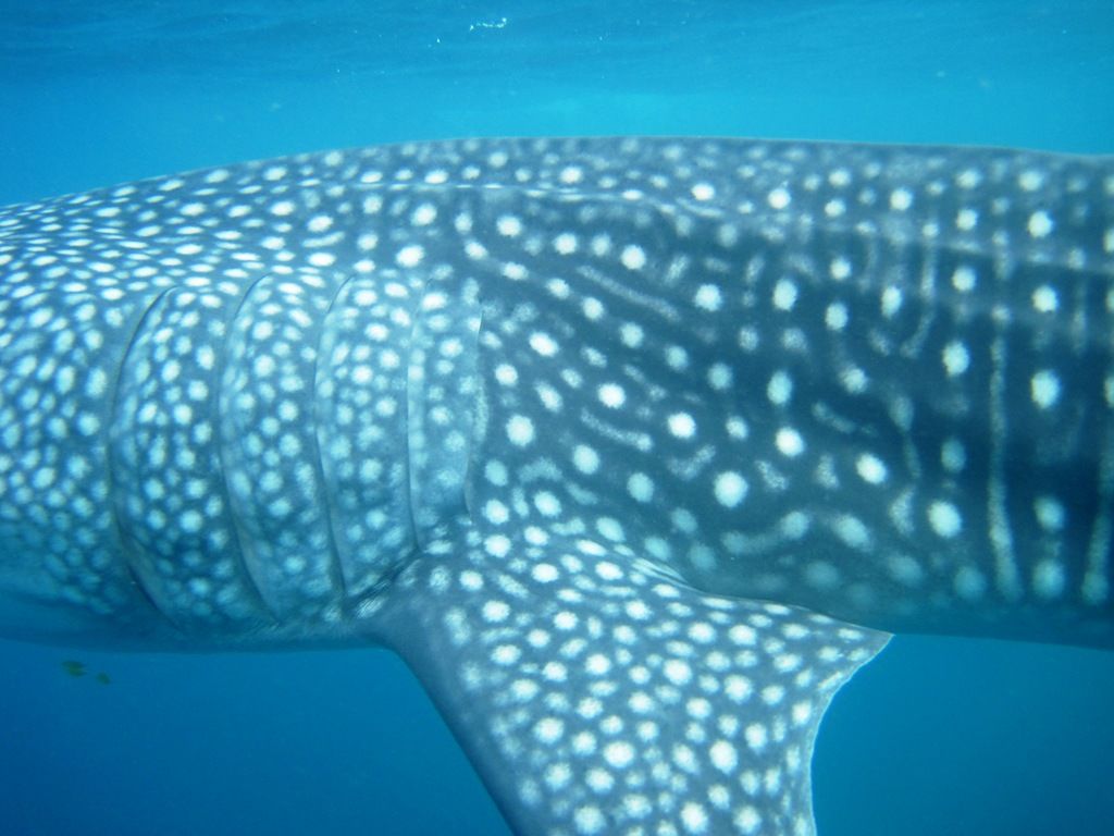 467238a0-06ac-4cc5-b5dc-f108034aef30